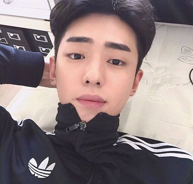 扶阳伦炎