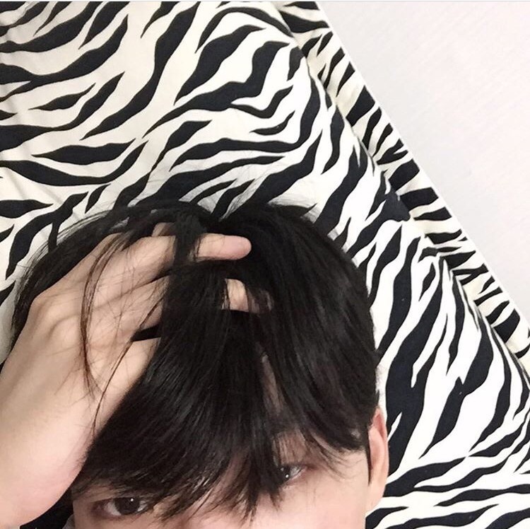 苏卿毅怡