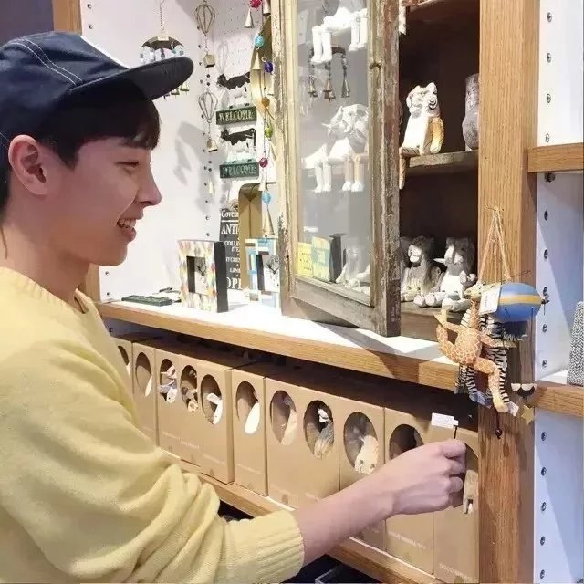 王巧珊楠
