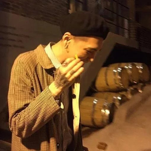 费琪苑薇