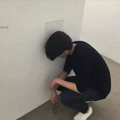 安园芸琪