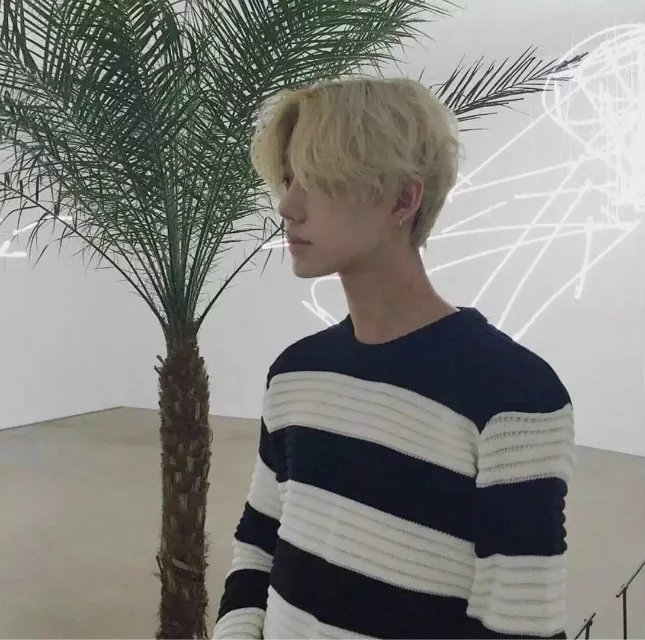 翁奇星琦