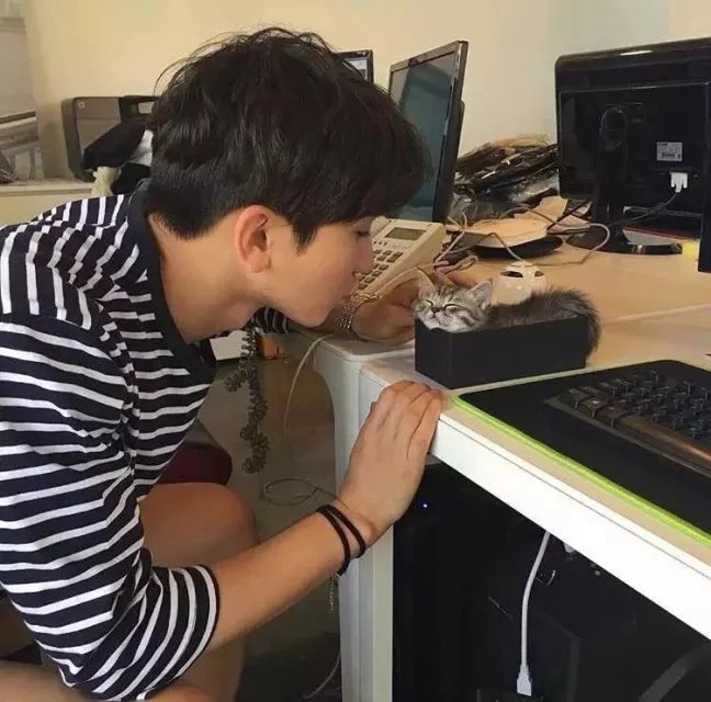 单于福士紫